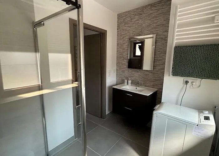 Moderne 40m2 01 Apartament Folkling